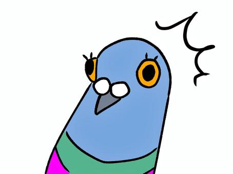 ハッとなるドバト ドバト,生き物,鳥,野生,野鳥,鳩,かわらバト,シンプル,オリジナル,かわいいのイラスト素材