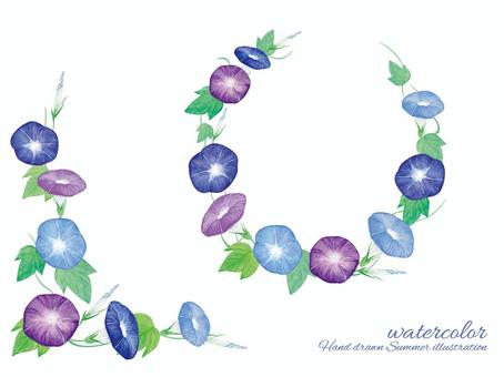 Morning glory frame, morning glory, a vine, flower, JPG, PNG and AI