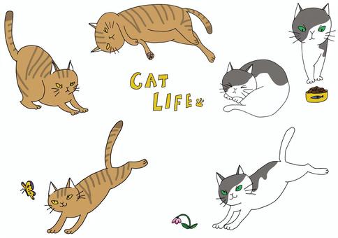 Cat set tea tabby, JPG, PNG and AI Cat set tea tabby, cat, tea tiger, butch cat, JPG, PNG and AI