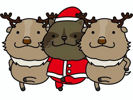 raccoon santa line dance, christmas, santa claus, raccoon, JPG and PNG