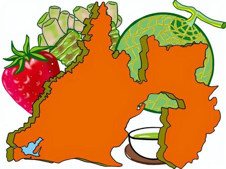 静岡県の地図と特産物 静岡,中部地方,東海地方,浜名湖,特産物,お茶,メロン,ワサビ,イチゴ,地図のイラスト素材