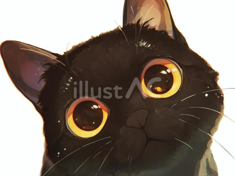 黒猫の顔のアップイラスト - No: 25737997｜無料イラスト・フリー素材