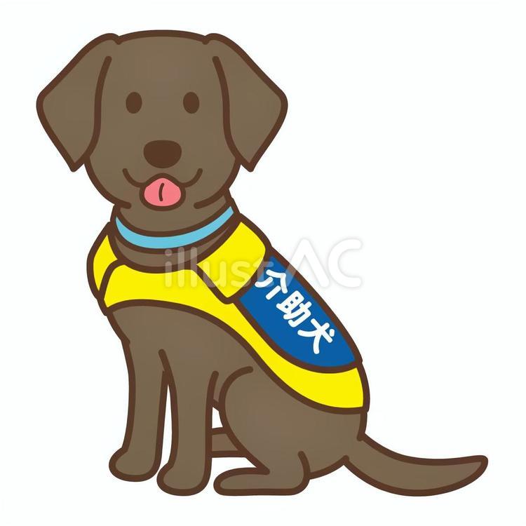 介助犬２ 介助犬,犬,ラブラドールレトリバーのイラスト素材