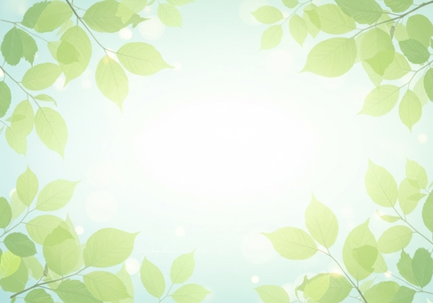 Sunlight filtering through the trees, JPG Sunlight filtering through the trees, green, leaf, light, JPG