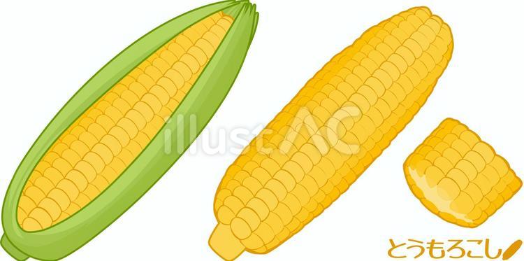 とうもろこし（トウモロコシ）イラスト とうもろこし,トウモロコシ,野菜のイラスト素材