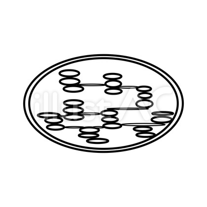 葉緑体_ Chloroplast