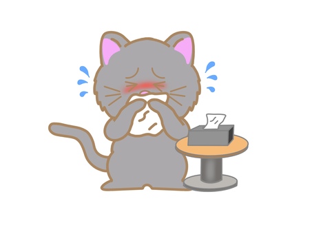 花粉症の猫