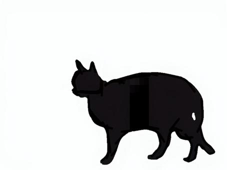 猫。。 猫,シルエット,動物,背景透過,黒猫,イラスト,素材,透過png,アイコン,ペットのイラスト素材