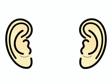 耳 耳,セット,耳たぶ,人,人間,人体パーツ,ボディパーツ,耳元,左右,両耳のイラスト素材