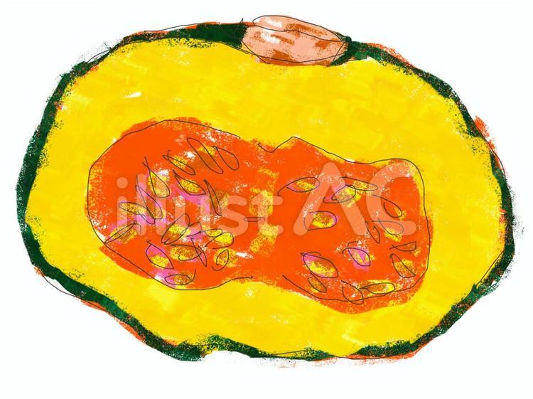 かぼちゃ断面 かぼちゃ,カボチャ,南瓜のイラスト素材