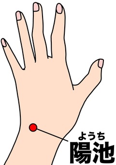 陽地の場所 陽地,ツボ,手,名称,カラーのイラスト素材