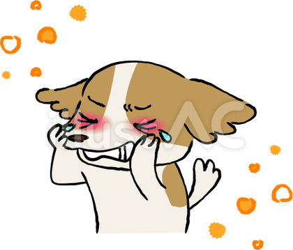 花粉症で目が痒い犬