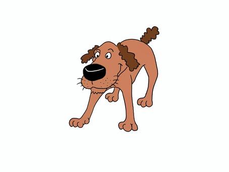 犬のおっちゃん 犬のおっちゃん 犬,イヌ,動物のイラスト素材