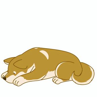 かわいい柴犬のシンプルイラスト元気がない 犬,ペット,柴犬,手描き,横向,かわいい,アクション,アニマル,挿絵,カット絵のイラスト素材