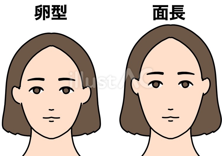 卵型と面長の顔の形比較　カラー 卵型,面長,顔のイラスト素材