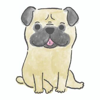 パグ 犬,パグ,ペット,動物,かわいいのイラスト素材