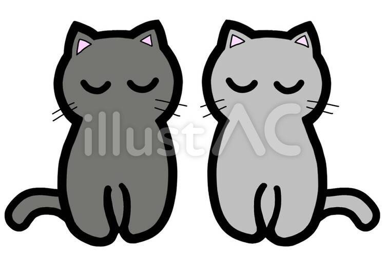 双子の猫　兄弟 双子,猫,兄弟のイラスト素材