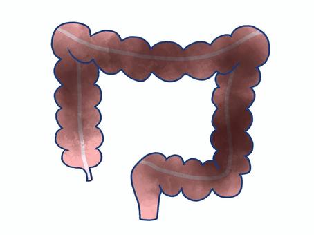 病気の大腸 病気の大腸 大腸,消化器,内臓,人体,手描き,消化管,盲腸,結腸,直腸,医療のイラスト素材