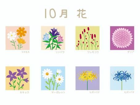 10月の花 10月の花 コスモス,リンドウ,ワレモコウ,ダリア,キキョウ,マーガレット,ヒガンバナ,桔梗,吾亦紅,彼岸花のイラスト素材
