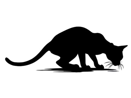 Silhouette of a slim cat bowing its head, cat, silhouette, tiny, JPG and PNG