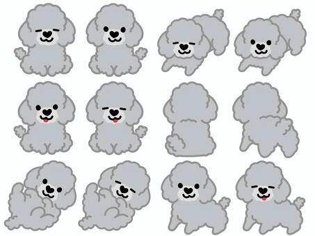 ハート鼻のプードル（セット）4 プードル,トイプードル,犬,動物,ハート,鼻,おすわり,ふせ,立つ,ゴロンのイラスト素材