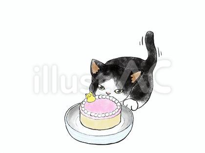 ねこと猫用ケーキ 4 ハチワレ