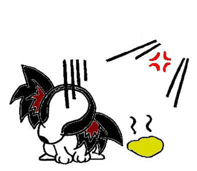 Papillon 9, Papillon 9, 巴比, 皂白, 可愛,