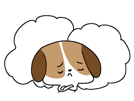 色々妄想しているビーグル犬