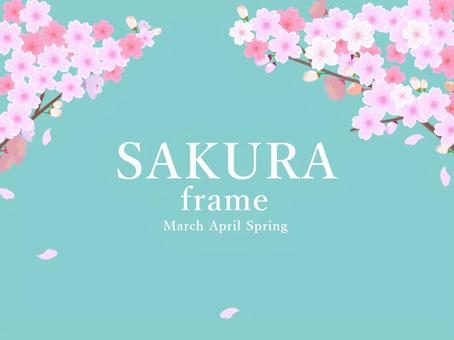 Cherry blossom frame_hand-painted simple watercolor painting, , JPG and PNG