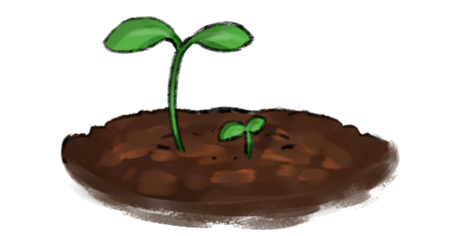 Illustration, futaba, bud, soil, 