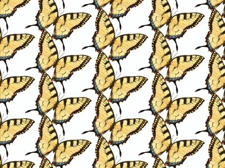 アゲハ蝶　① アゲハチョウ,アゲハ,蝶,蝶々,昆虫,虫,羽,羽根,飛ぶ,生物のイラスト素材