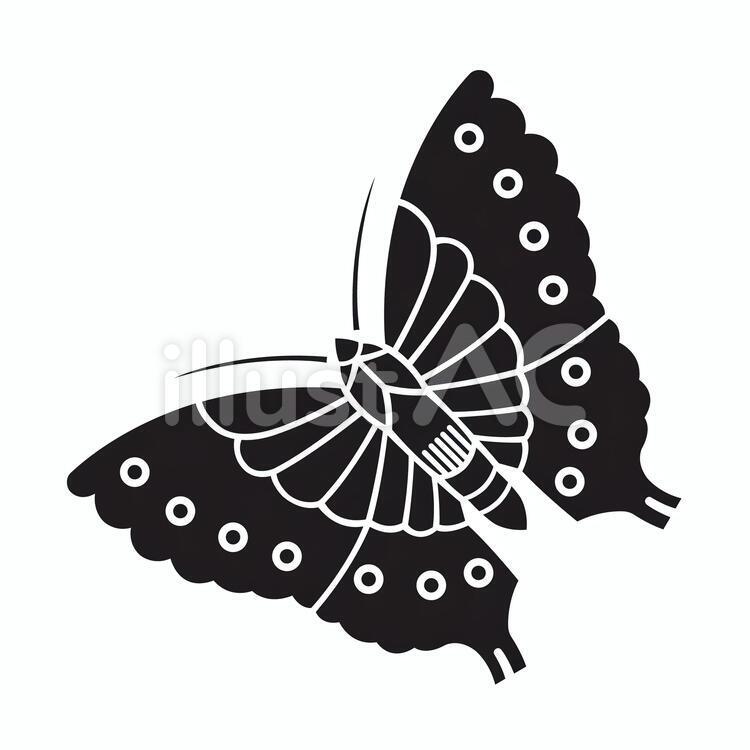 家紋　蝶 家紋,紋章,マークのイラスト素材