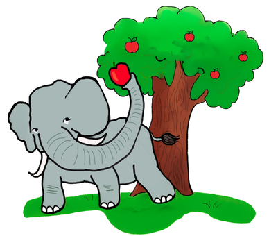 リンゴを取るゾウ リンゴを取るゾウ りんご,ゾウ,手描き,動物園,全身のイラスト素材