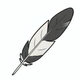 黒と白の羽根