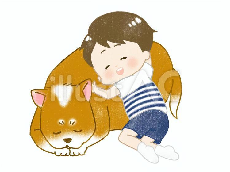 ペットの犬とふれあう男の子 犬,大型犬,わんこのイラスト素材