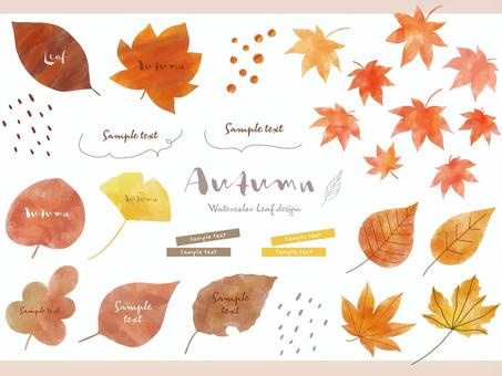 秋のいろいろな葉っぱの素材セット 秋,紅葉,落ち葉,見出し,手描き,水彩,線画,装飾,吹き出し,収穫のイラスト素材