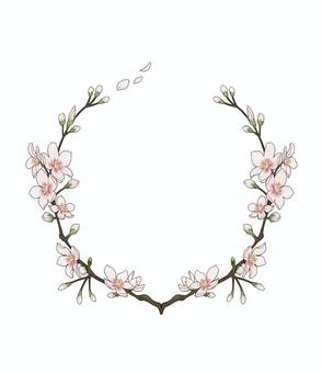 벚꽃 꽃 프레임, 벚꽃, 꽃, 식물, JPG 및 PNG