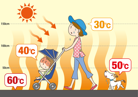 地表からの体感温度 体感温度,地表,地面,犬,子供,ベビーカー,女性,お母さん,太陽,夏のイラスト素材
