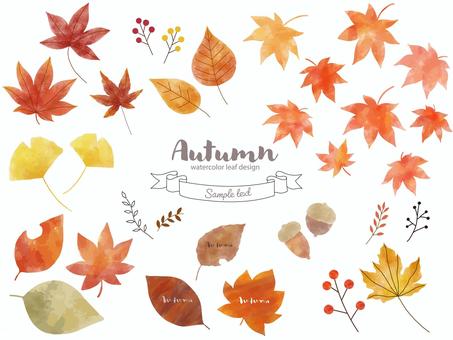 秋の紅葉ボタニカル水彩セット 秋,紅葉,落ち葉,手描き,水彩,もみじ,どんぐり,収穫,イチョウ,木の実のイラスト素材