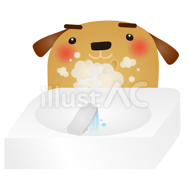 茶犬手洗い 犬,手洗い,予防のイラスト素材