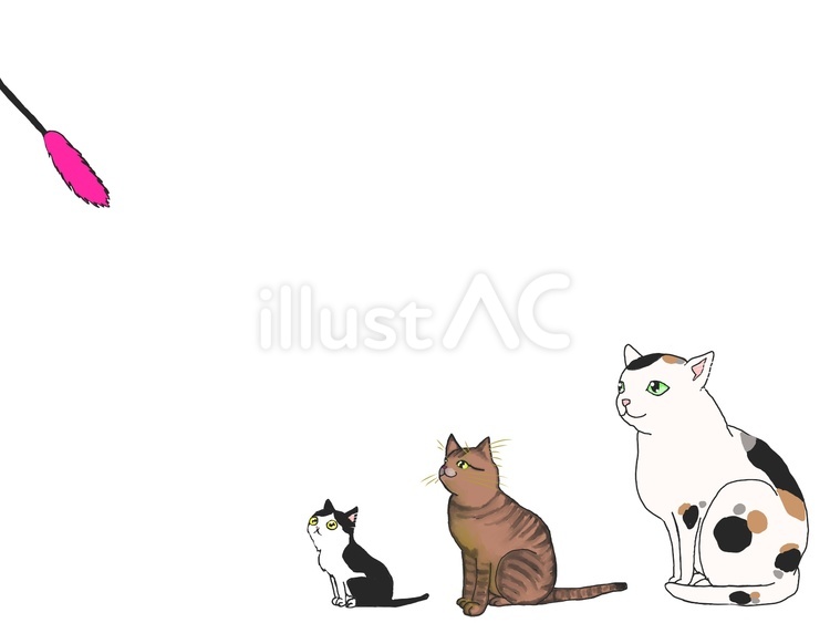 それはねこじゃらしフレーム ネコ,フレーム,猫じゃらしのイラスト素材