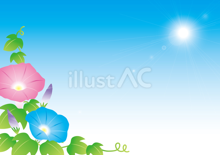 あさがお背景-2 朝顔,あさがお,アサガオのイラスト素材