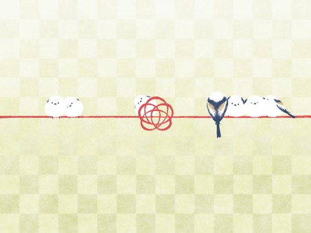 シマエナガ水引　のし紙デザイン　市松 シマエナガ,水引,のし紙,背景,梅,梅結び,金,和柄,和紙,かわいいのイラスト素材