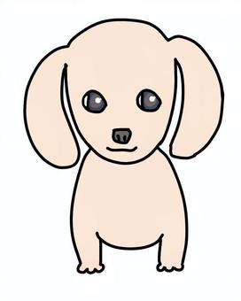 ダックスフンドクリーム ダックスフンドクリーム 犬,動物,ペット,かわいい,デフォルメ,わんこ,キャラクター,毛色,手描き,ダックスフンドのイラスト素材