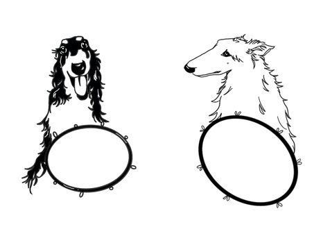 Illustration, borzoi, quadro, cão, 