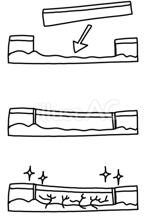 移植した皮膚が定着する過程　線画 移植,皮膚,血管のイラスト素材