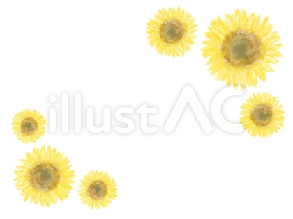 ヒマワリの花フレーム水彩画風 横型