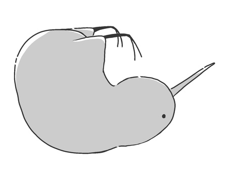 ひっくり返るキウイバード