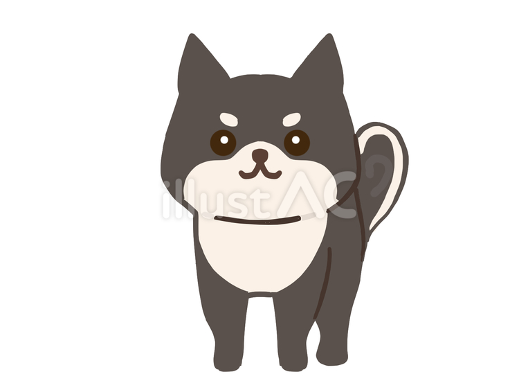 柴犬　線なし 犬,肉球,もふもふのイラスト素材