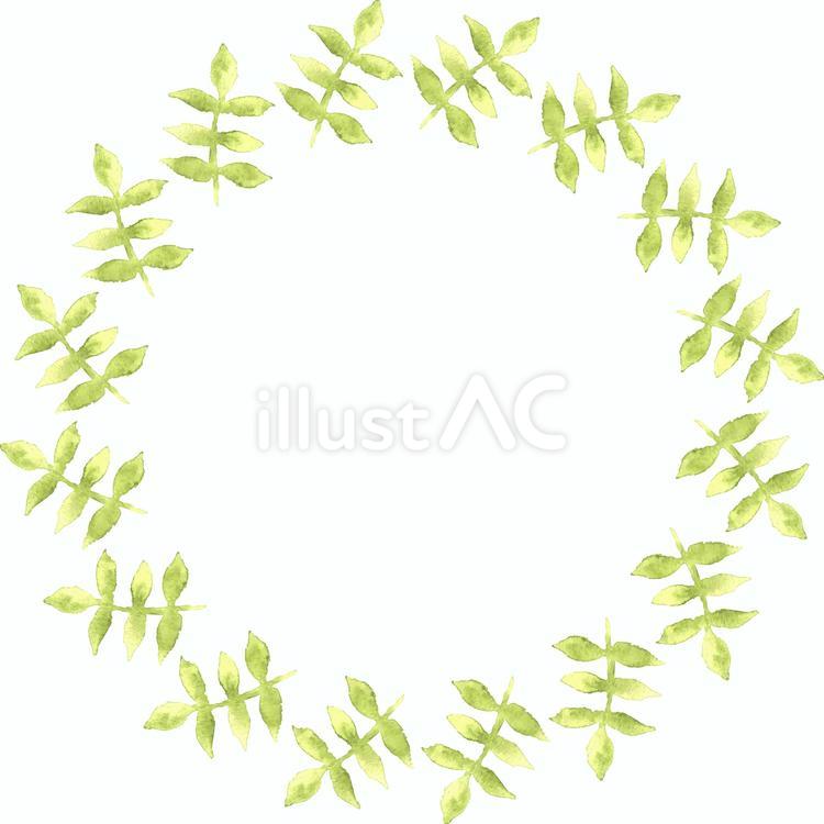葉っぱのフレーム 葉,植物,水彩のイラスト素材